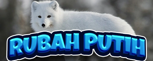 RUBAH PUTIH SLOT Apk